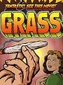 Grass