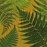 Caspari Set of 2 John Derian Ferns Set of 20 Paper Cocktail Napkin, Gold