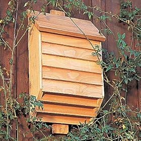 Bat Conservatory House-helps reduce mosquitos naturally