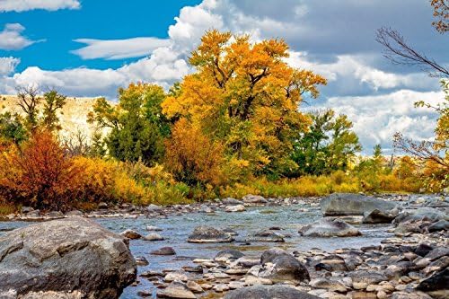 Autumn Photography Print - "Colors of the River" - Fall foliage lines the Wind River in Wyoming on a cool autumn day. Fall Foliage, Trees, River, Art.