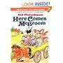 Here Comes McBroom: Three More Tall Tales