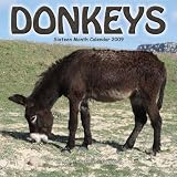 Eigenschaften Avonside Publishing Ltd.  / Kalender 2009 Esel - Donkeys - Jackasses