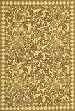 Abbot Area Outdoor Area Rug, 2 &acute; 4 &acute; x6 &acute; 7 &acute; , SAGE / NATURAL - B001OCJXCY