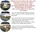 Check out The Fantastic Make An Extra Income, Biz Networking and eCommerce for Potty Training Pants On-line Biz Package (3 CDs)