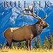 Bull Elk 2017 Wall Calendar