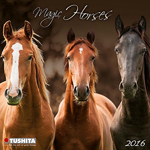 Magic Horses (161537) (English, Spanish, French, Italian and German Edition)
