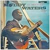 Muddy Waters At Newport 1960