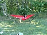 Bay Hammock Parachute Fabric Hammock w/ Carry Bag (60 x 120)