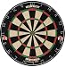 Sportcraft World Pro Bristle Dartboard