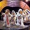 Image of The Wombles