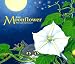 The Moonflower by Jean Loewer ISBN 156145138X