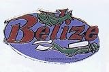 Belize Collectible Scuba Diving Pin