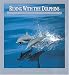 Riding with the Dolphins: The Equinox Guide to Dolphins and Porpoises