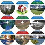 The Superwhammodyne Nine CD Nothing Down, Income Producing Real Estate Mentoring System