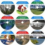 The Superwhammodyne Nine CD Nothing Down, Income Producing Real Estate Mentoring System book cover