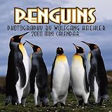 Penguins 2000 Mini Calendar