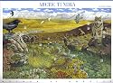 2003 ARCTIC TUNDRA (#3802) Souvenir Sheet of 10 x 37cents US Postage Stamps