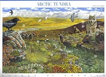 2003 ARCTIC TUNDRA (#3802) Souvenir Sheet of 10 x 37cents US Postage Stamps