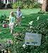 Meri Meri Easter Egg Hunt Kit