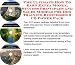 Book The Ultimate How To Earn Extra Money, Success Principles and Sales Models for Dog Training Businesses 3 CD Power Pack