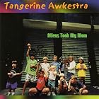 Aliens Took My Mom by Tangerine Awkestra