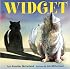 Widget