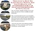 Book The Guru's How To Earn Extra Money, Biz Networking and eCommerce for Car Seat Accessories Biz 3 CD Package