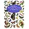 Butterfly Crazy