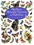 Old-Time Butterfly Vignettes in Full Color (Dover Pictorial Archives)