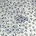 Sequin Teardrop 1.5