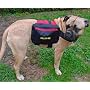 Hunderucksack, zur Verhaltensverbesserung �ngstlic&hellip von Clickerhunde