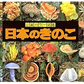 日本のきのこ (山渓カラー名鑑)