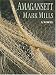 Amagansett (Thorndike Press Large Print Americana Series)