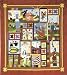 Summer Joy BOM Block of Month Quakertown Sue Garmen 12 Quilt Pattern Set