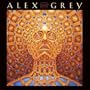 Alex Grey 2007 Calendar