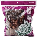 Natural White Spruce Pine Cones 4 Oz.