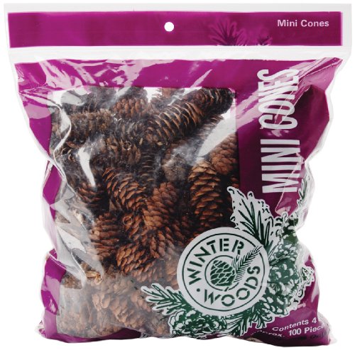 Natural White Spruce Pine Cones 4 Oz. Image Natural White Spruce Pine Cones 4 Oz.