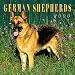 German Shepherds 2000