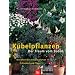 Meine Wunsch-B�cher