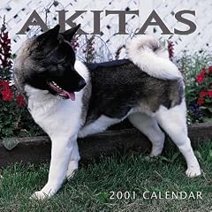 Akitas 2001 Calendar