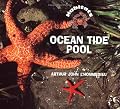 Ocean Tide Pool (Habitats)