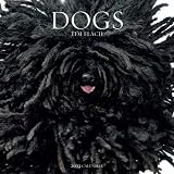 Dogs 2013 Wall Calendar