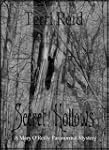 Secret Hollows - A Mary O'Reilly Para...