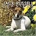 Jack Russell Terriers 2006 Calendar