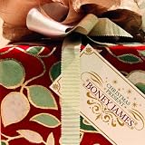 Christmas Present [Japanese Import]