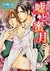 嘘と蜜月 (角川ルビー文庫)