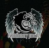 Eevolutionary process