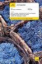 Portuguese Complete Course Book/CD Pack (Teach Yourself Languages)