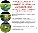 Book The Mega Get More Biz, Success Principles and Inner Game for Used Wedding Gowns On-line Businesses 3 CD Power Pack