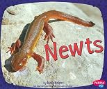 Newts